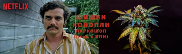 сатива Волоколамск