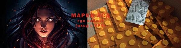 индика Верея