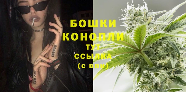 сатива Волоколамск