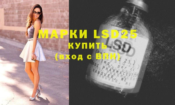 индика Верея
