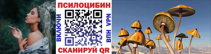 Псилоцибиновые грибы Cubensis Ельня